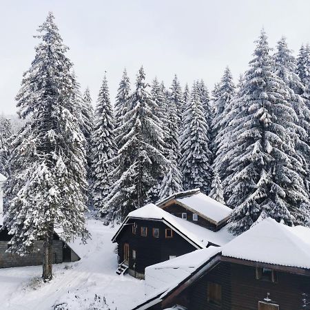 Apartments Zed Vila Zvoncica Kopaonik Zewnętrze zdjęcie