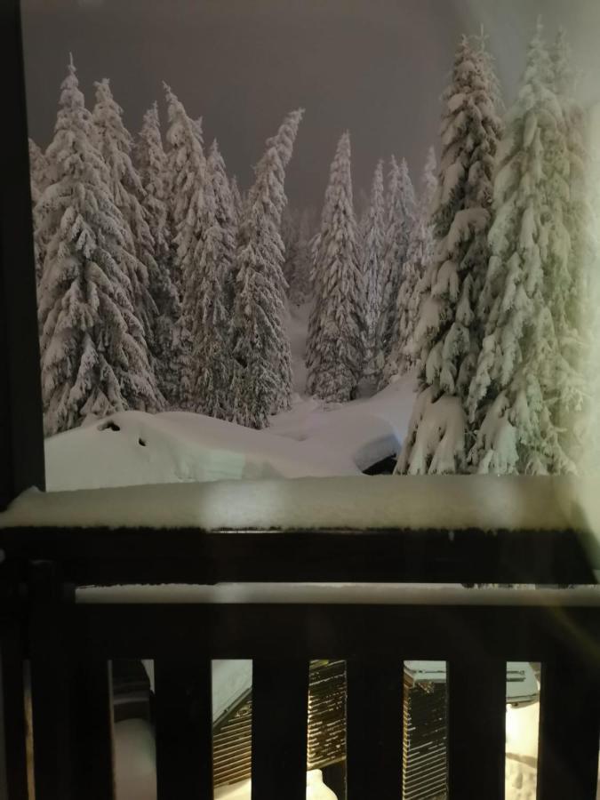 Apartments Zed Vila Zvoncica Kopaonik Zewnętrze zdjęcie
