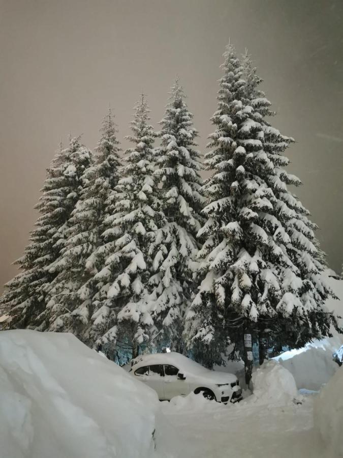 Apartments Zed Vila Zvoncica Kopaonik Zewnętrze zdjęcie