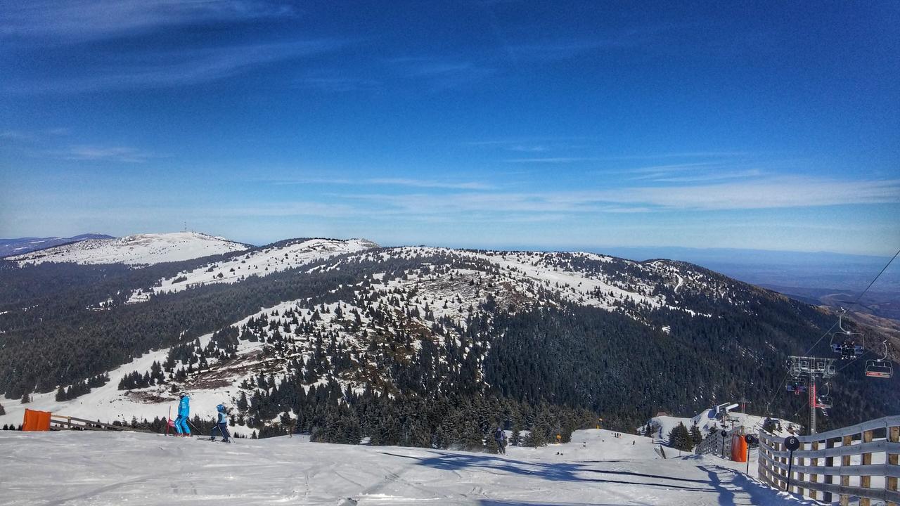 Apartments Zed Vila Zvoncica Kopaonik Zewnętrze zdjęcie