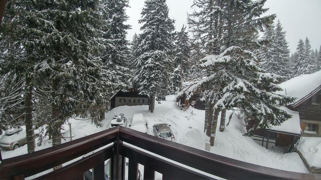 Apartments Zed Vila Zvoncica Kopaonik Zewnętrze zdjęcie