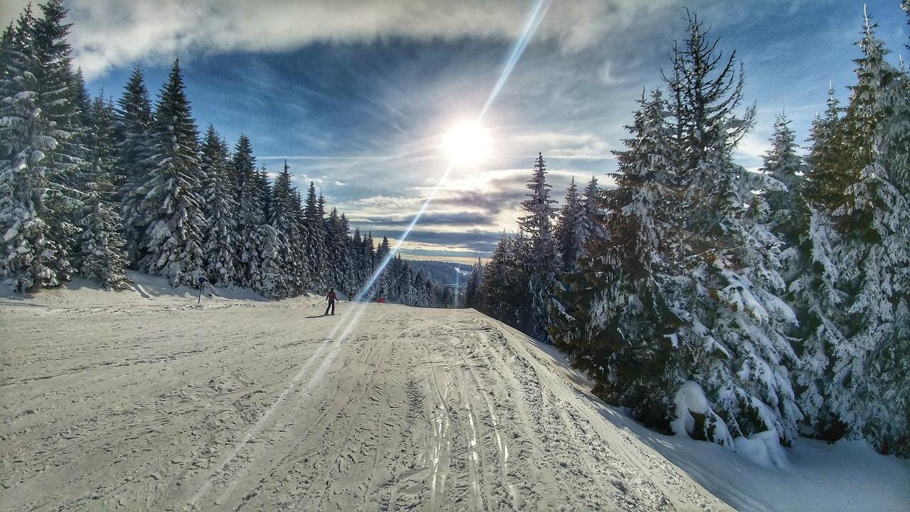 Apartments Zed Vila Zvoncica Kopaonik Zewnętrze zdjęcie