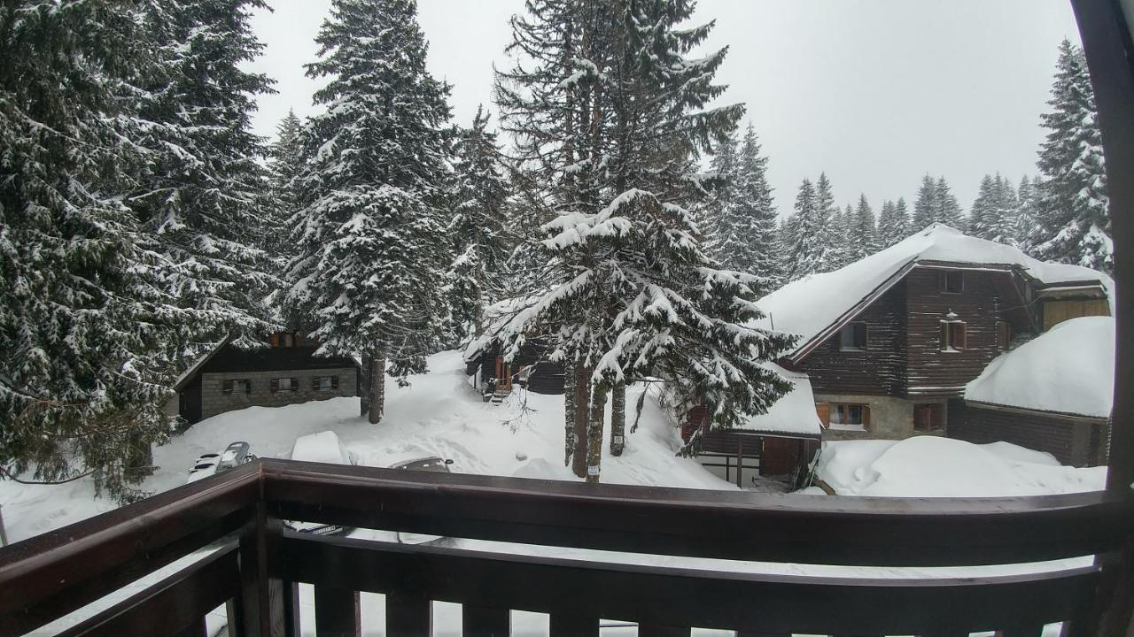 Apartments Zed Vila Zvoncica Kopaonik Zewnętrze zdjęcie